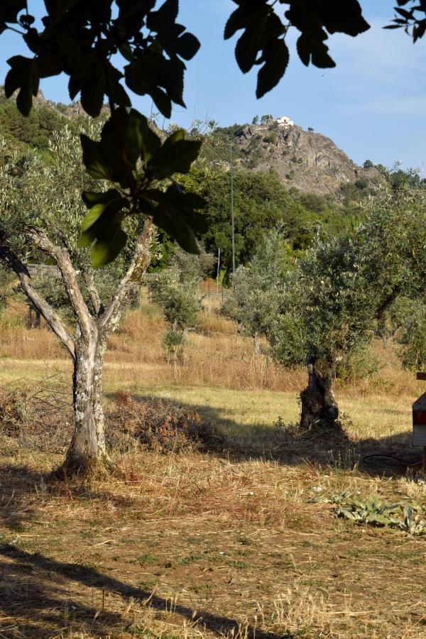 Ola Linda - Casa De Campo - กัสเตโลเจวีด ภายนอก รูปภาพ