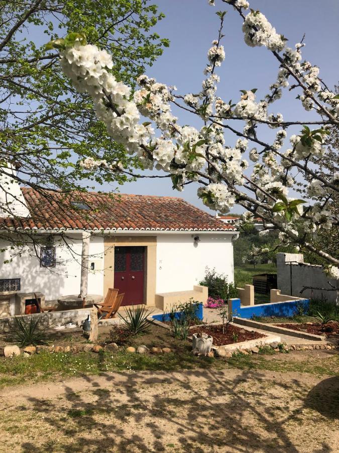 Ola Linda - Casa De Campo - กัสเตโลเจวีด ภายนอก รูปภาพ